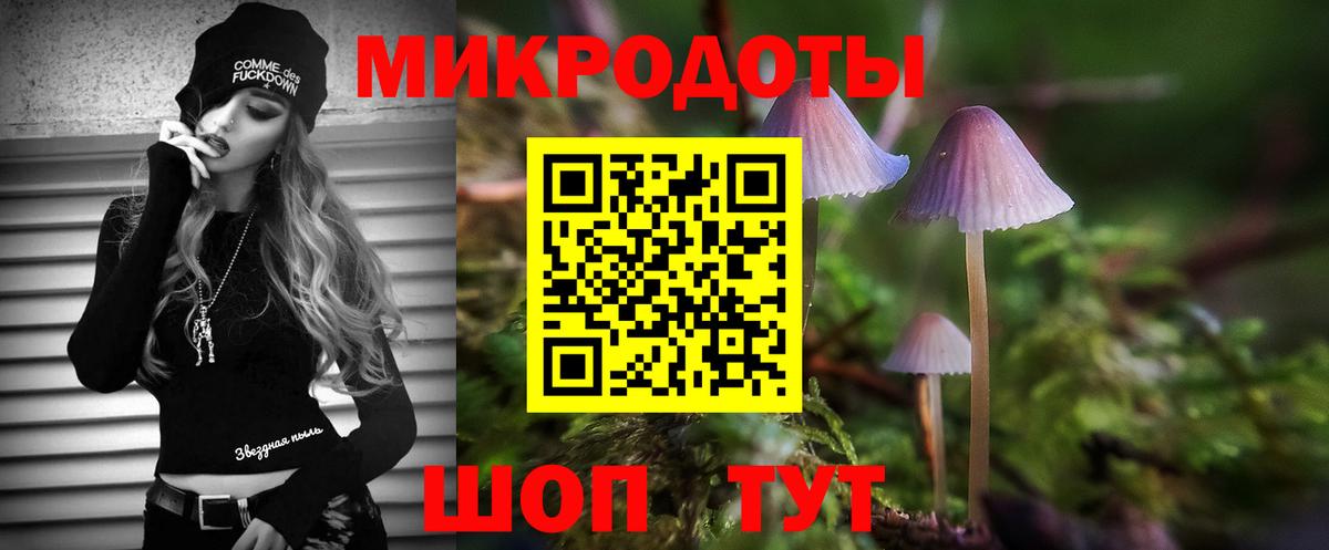 Псилоцибиновые грибы мицелий Сатка